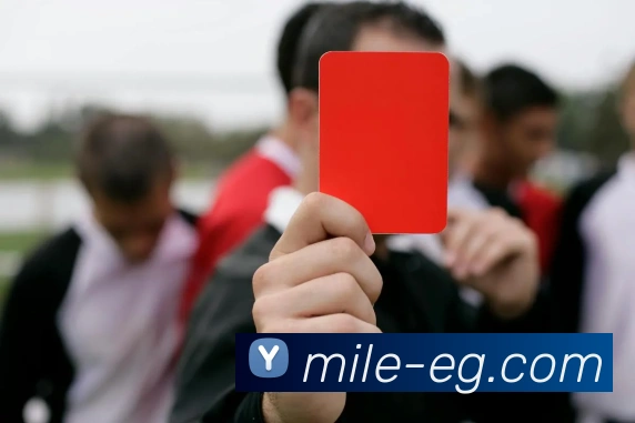 米乐m6服务体系