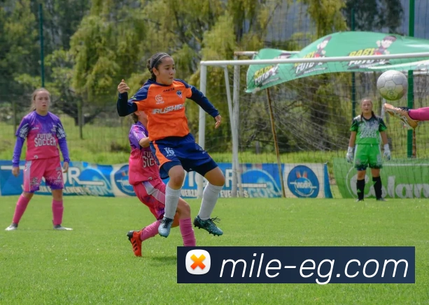 米乐m6APP 体育赛事宣传图